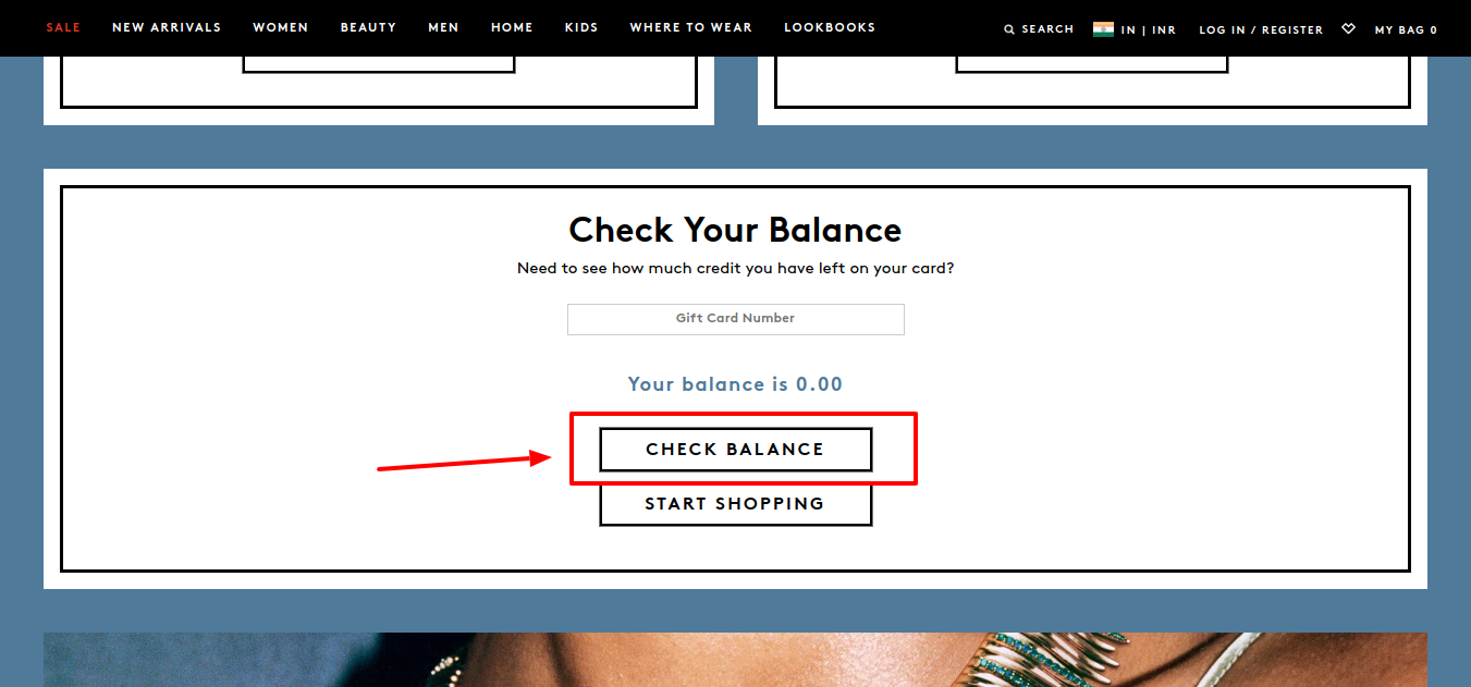 Barneys New York gift card check ba;ance